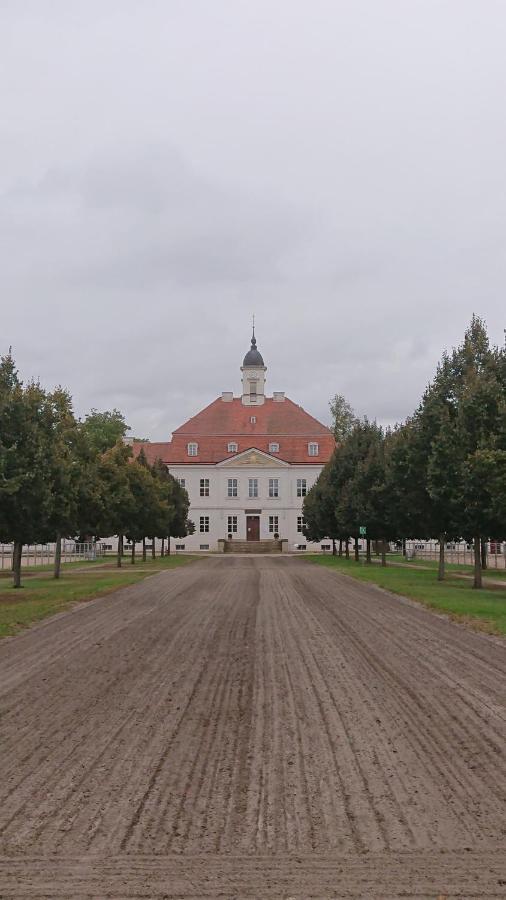 Fewo In Neustadt/Dosse, Der Stadt Der Pferde Apartment Leddin ภายนอก รูปภาพ