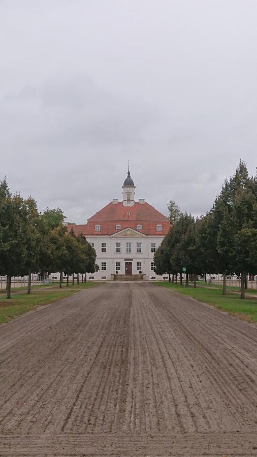 Fewo In Neustadt/Dosse, Der Stadt Der Pferde Leddin ภายนอก รูปภาพ